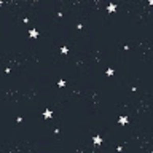 Meet your Posher, Savannah